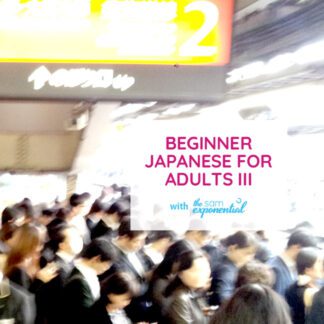Beginner Japanese for Adults III course image